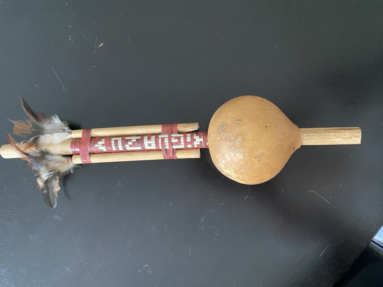 Blow dart we got when visiting Iguazu Falls in Argentina - Elizabeth Everett